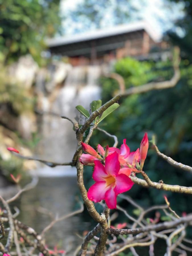 Jolie Petite Villa Sur Une Presqu'Ile Le Gosier  Exterior foto